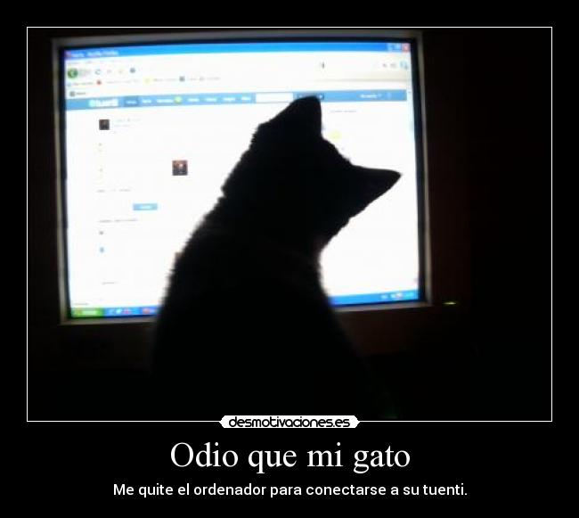 Odio que mi gato - Me quite el ordenador para conectarse a su tuenti.