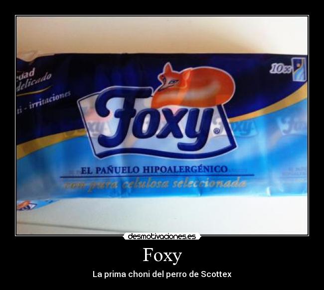 Foxy - La prima choni del perro de Scottex