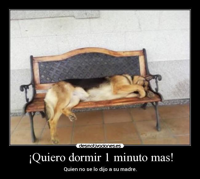 ¡Quiero dormir 1 minuto mas! - Quien no se lo dijo a su madre.