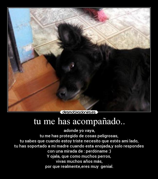 carteles has acompanado desmotivaciones