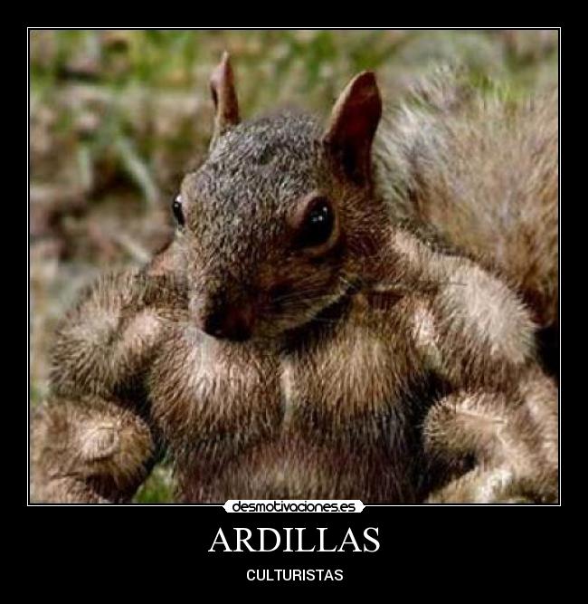 carteles tags desmotivaciones