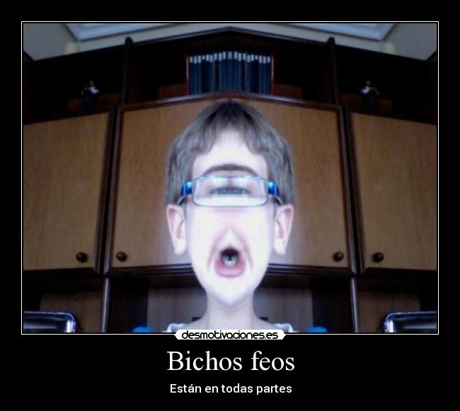 Bichos feos - Están en todas partes