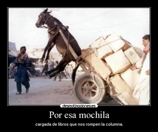 Por esa mochila - cargada de libros que nos rompen la columna.