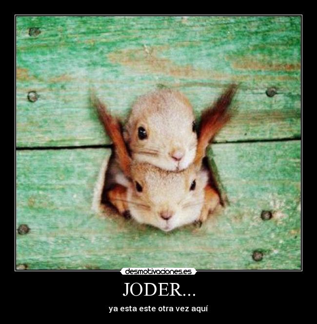 JODER... -