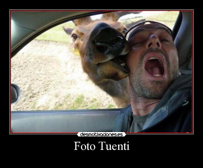 Foto Tuenti - 