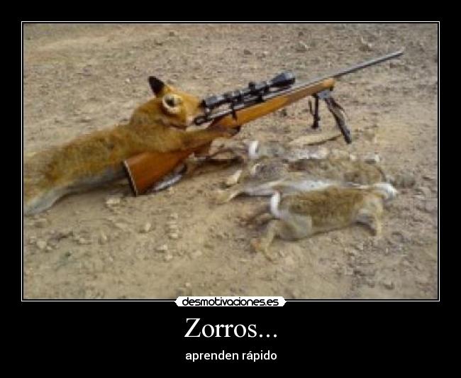 Zorros... - aprenden rápido