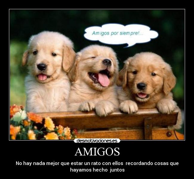 carteles amigos adri_711 desmotivaciones