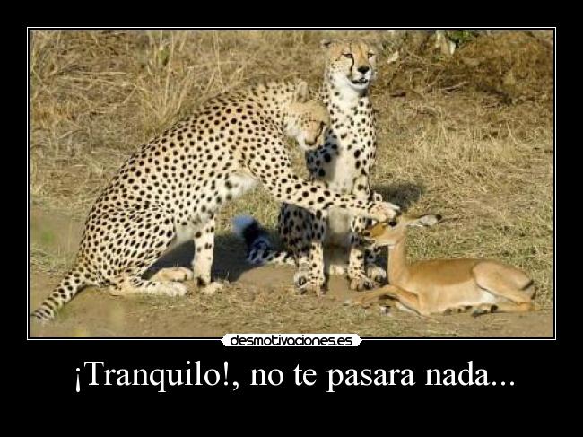 ¡Tranquilo!, no te pasara nada... -