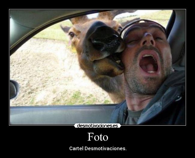 Foto - Cartel Desmotivaciones.