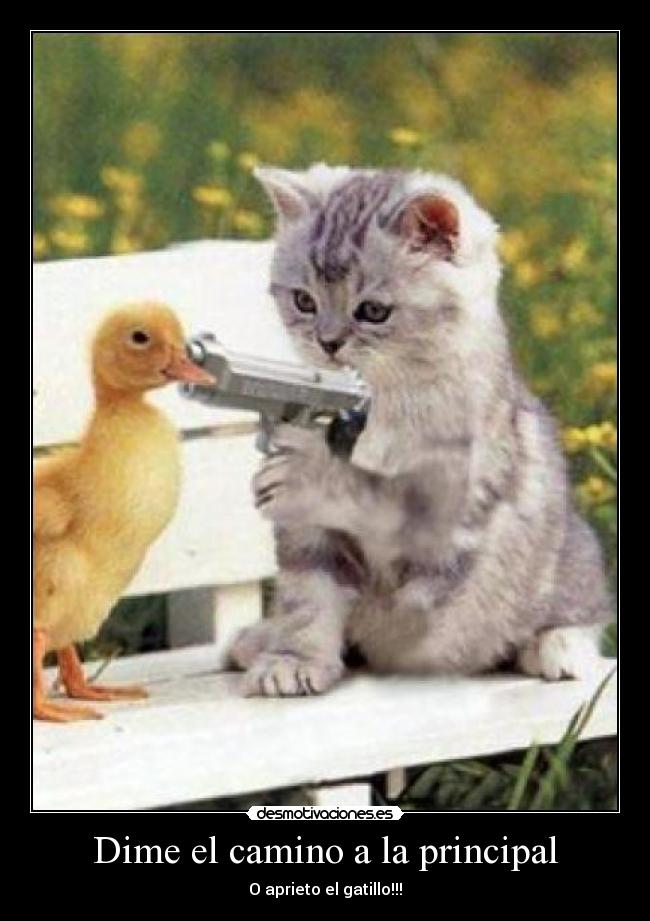 Dime el camino a la principal - 