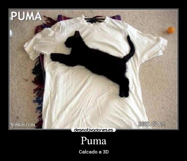 Puma -