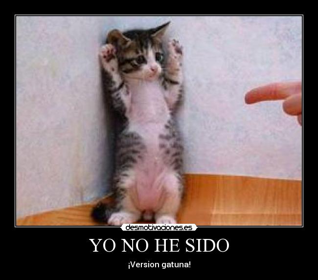 YO NO HE SIDO - 