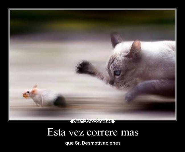 Esta vez correre mas - 