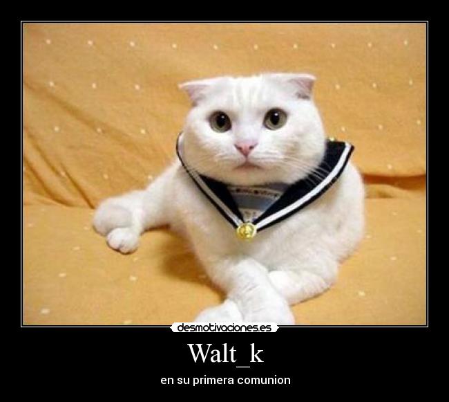 Walt_k - 