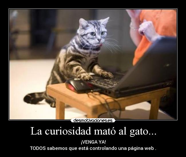La curiosidad mató al gato... - 