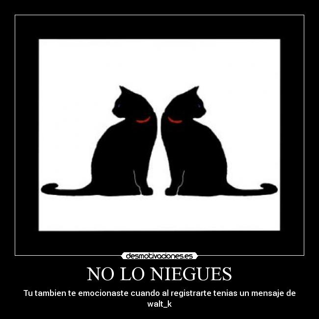 carteles niegues desmotivaciones