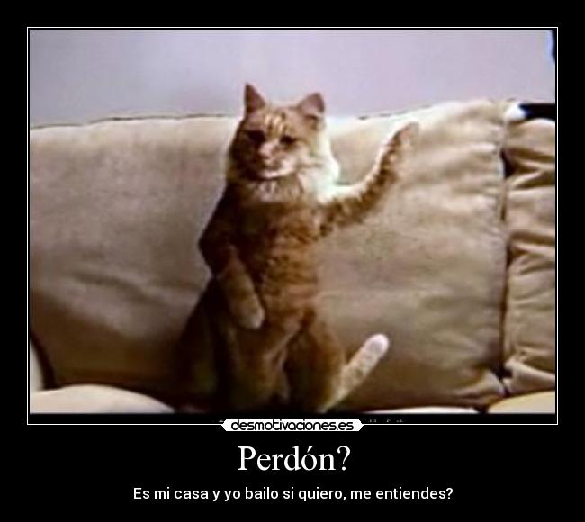 Perdón? - Es mi casa y yo bailo si quiero, me entiendes?