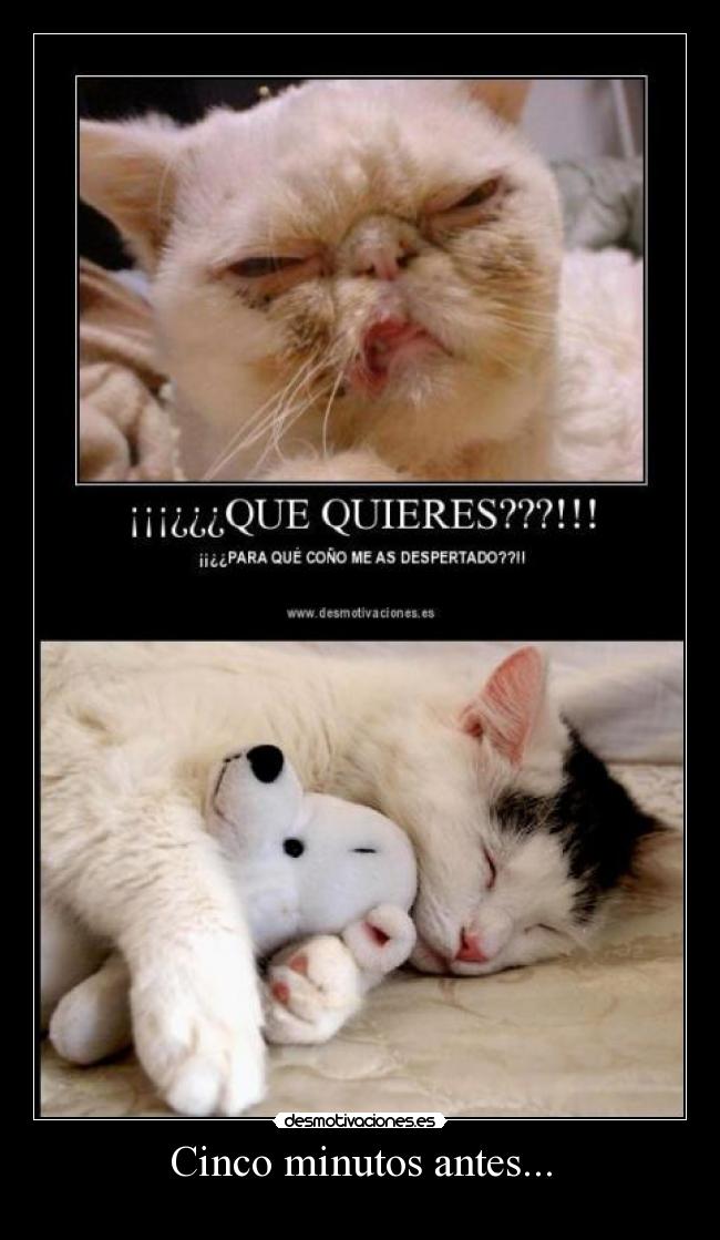 Cinco minutos antes... -