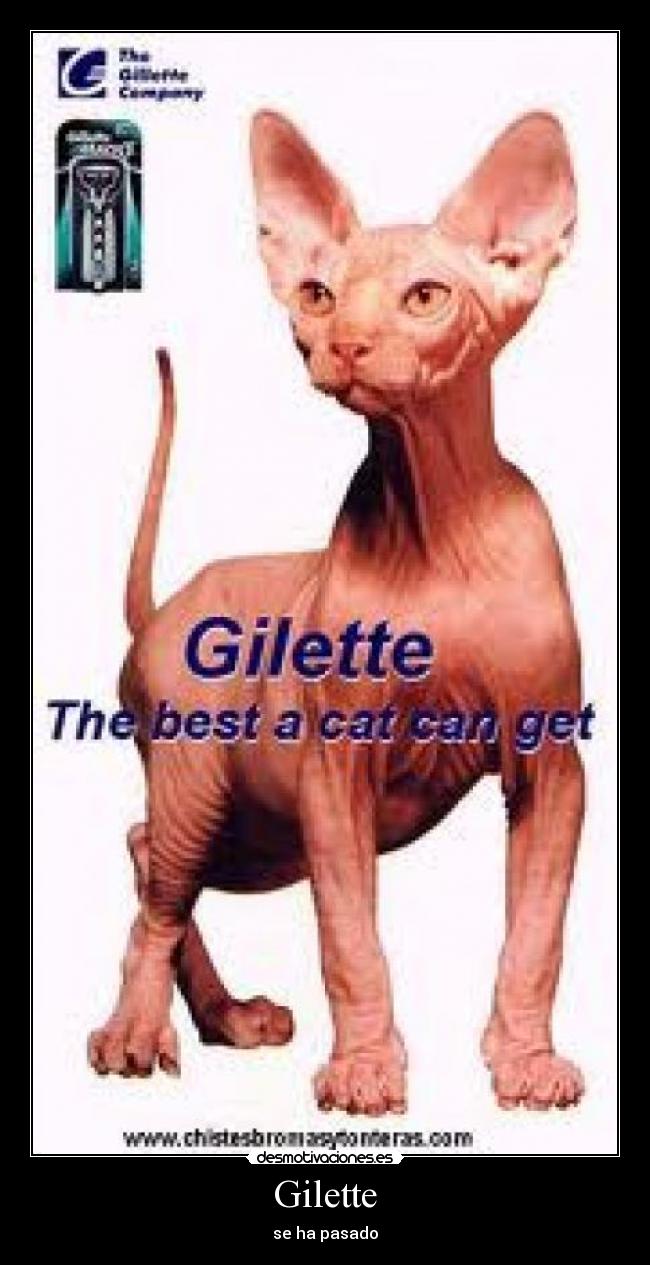 Gilette - se ha pasado