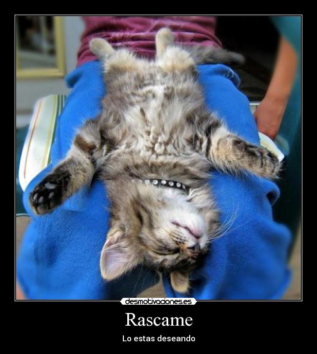Rascame -