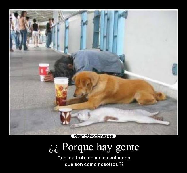 carteles por que gente desmotivaciones