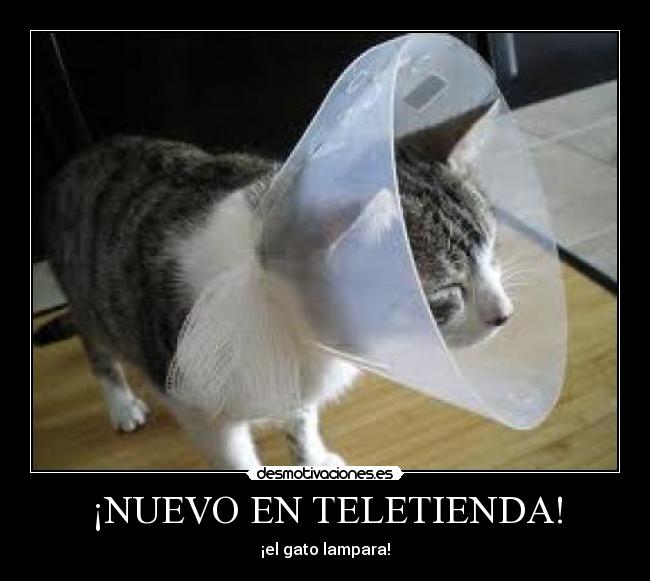 ¡NUEVO EN TELETIENDA! - ¡el gato lampara!