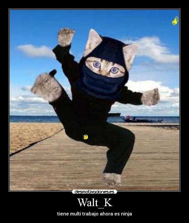 Walt_K - tiene multi trabajo ahora es ninja