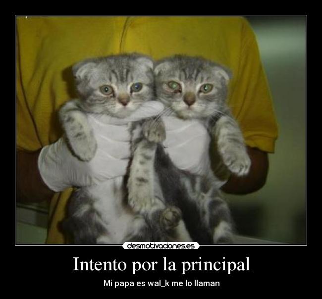 Intento por la principal - Mi papa es wal_k me lo llaman
