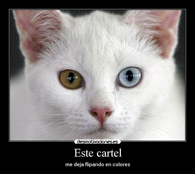 Este cartel - 