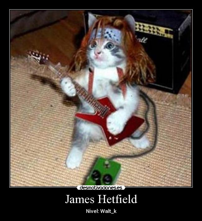 James Hetfield - Nivel: Walt_k
