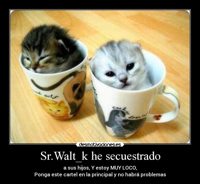 Sr.Walt_k he secuestrado - 