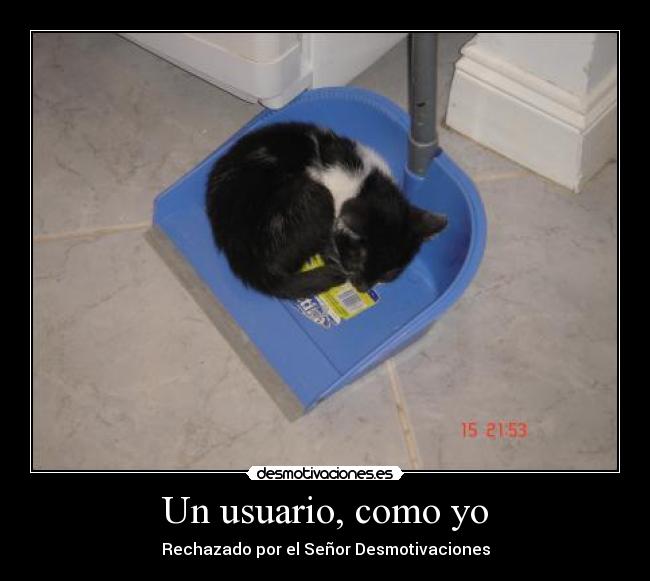 carteles gatosen pala basura desmotivaciones