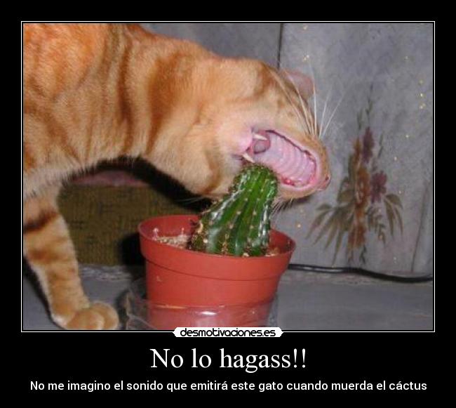 No lo hagass!! - 