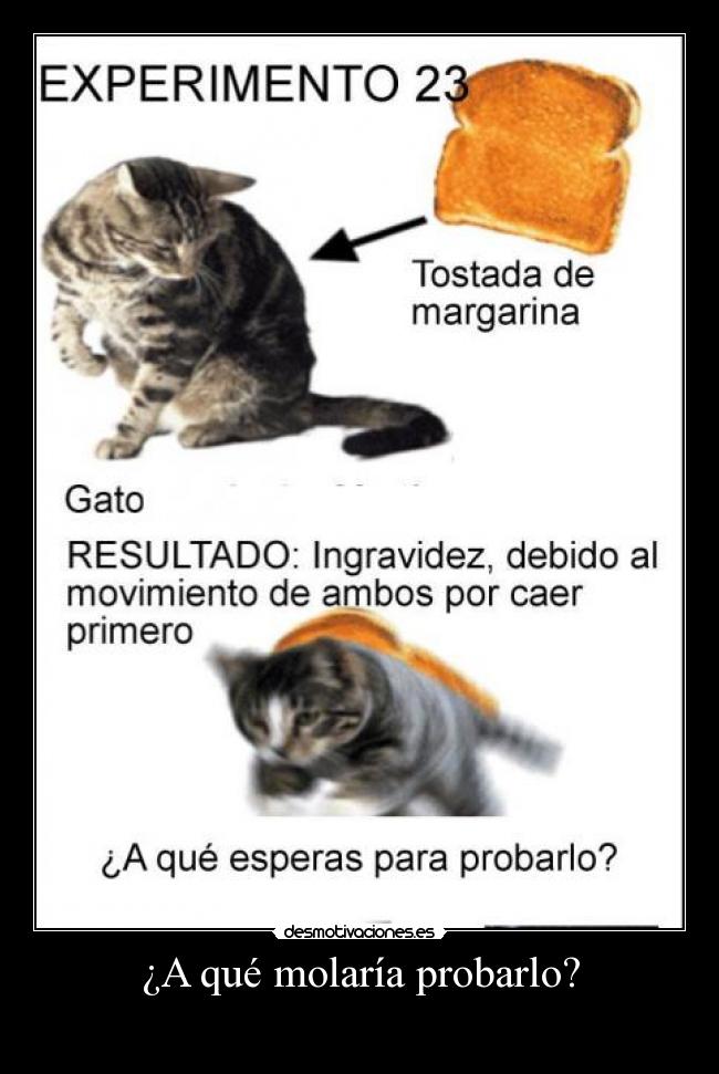 ¿A qué molaría probarlo? -