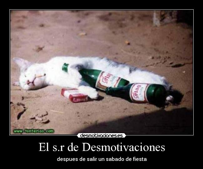 El s.r de Desmotivaciones - 