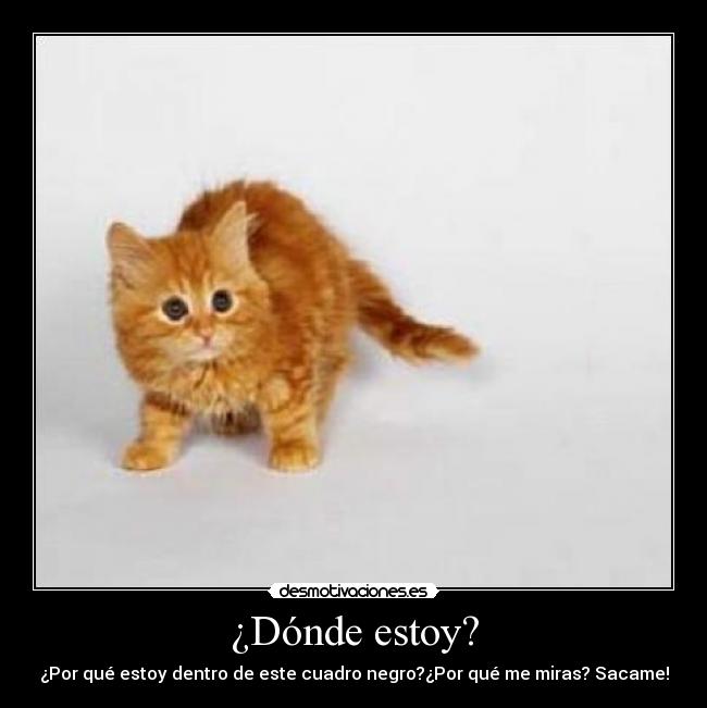 ¿Dónde estoy? -