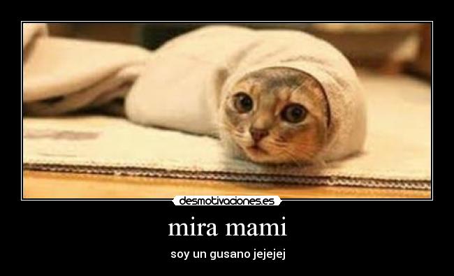 mira mami - soy un gusano jejejej