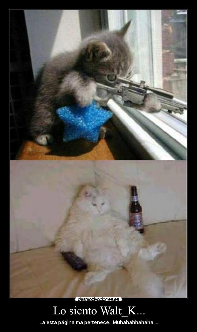 Lo siento Walt_K... -