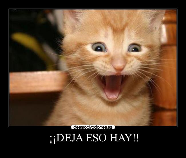 ¡¡DEJA ESO HAY!! -