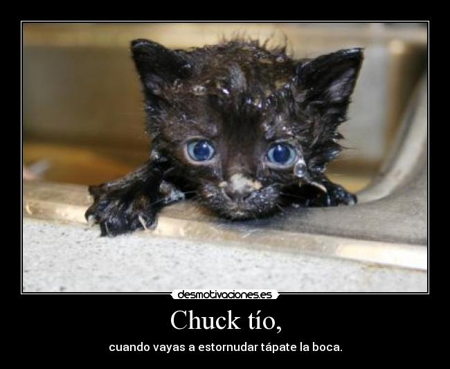 Chuck tío, - 
