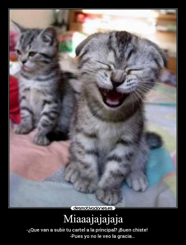 Miaaajajajaja - -¿Que van a subir tu cartel a la principal? ¡Buen chiste!           
                -Pues yo no le veo la gracia...