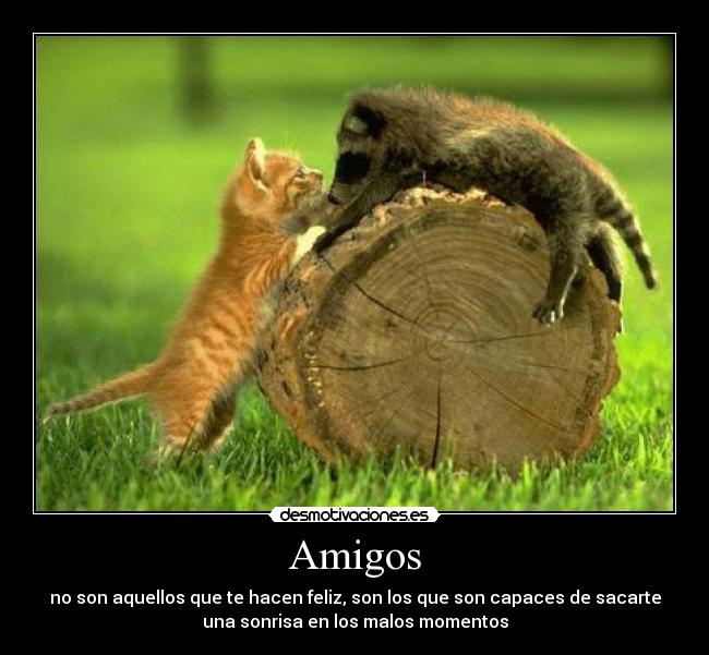 Amigos - no son aquellos que te hacen feliz, son los que son capaces de sacarte
una sonrisa en los malos momentos