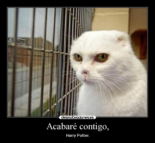 Acabaré contigo, - 