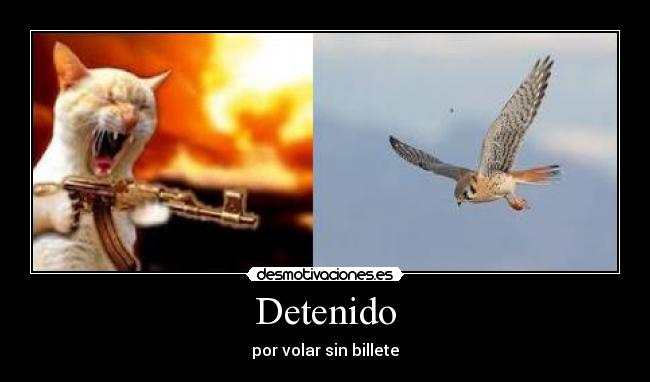 Detenido - por volar sin billete