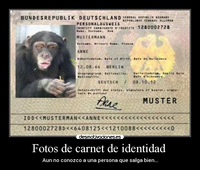 Fotos de carnet de identidad  - Aun no conozco a una persona que salga bien...