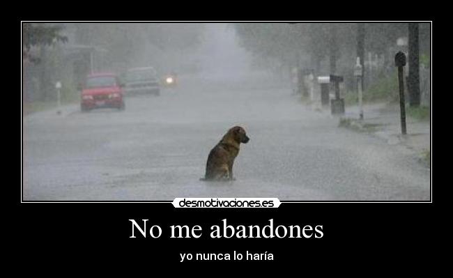 No me abandones - yo nunca lo haría