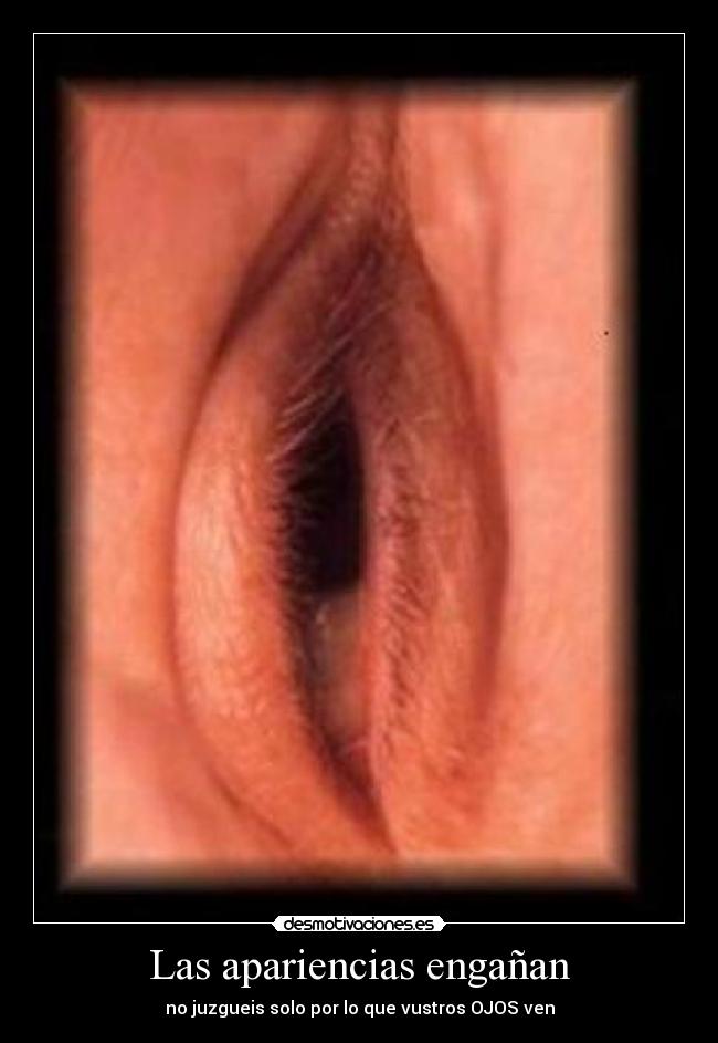 Las apariencias engañan -