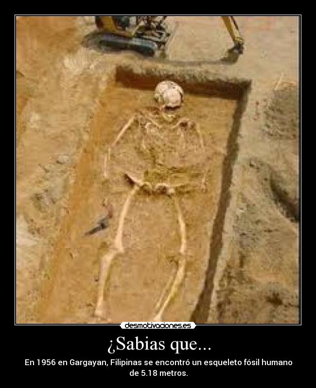 ¿Sabias que... -