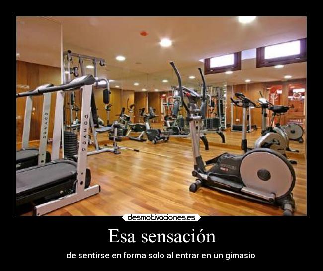 carteles gimnasio desmotivaciones