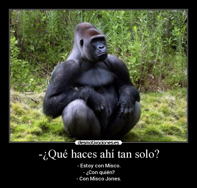 -¿Qué haces ahí tan solo? - - Estoy con Misco.
- ¿Con quién?
- Con Misco Jones.